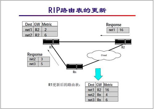 RIP协议基础教程 理解周期性广播与路由信息报文